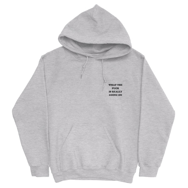 what the fuck is really going on Hoodie (embroidered)