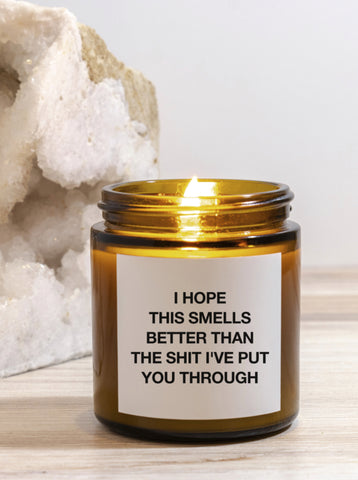 I HOPE THIS SMELLS BETTER THAN THE SHIT I'VE PUT YOU THROUGH Candle